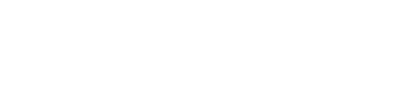 e-ruota